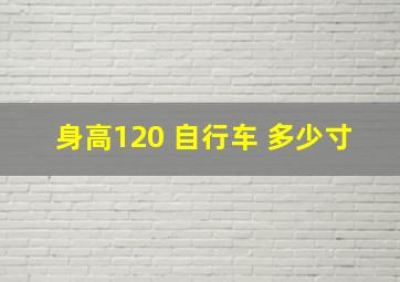 身高120 自行车 多少寸